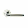 Argo Door Handle on Round Rose - privacy