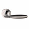 Phoenix Door Handle - passage