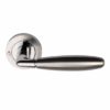 Phoenix Door Handle - privacy